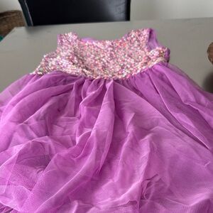 Cat & Jack Multicolor Top with Purple Skirt Dress